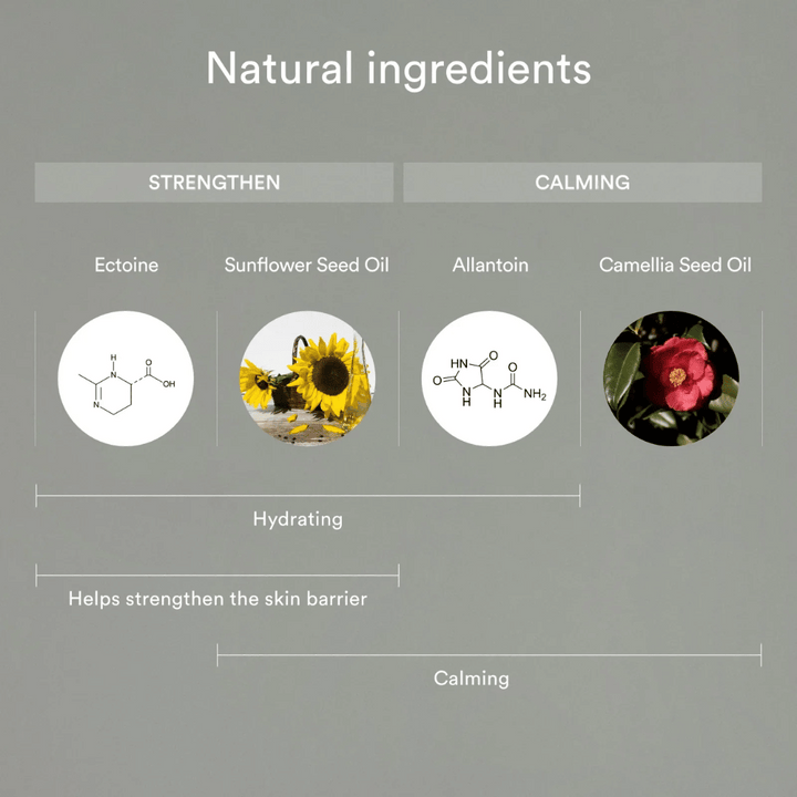 Bilden visar naturliga ingredienser som stärker och lugnar huden: Ectoin och solrosfröolja hjälper till att återfukta och stärka hudbarriären, medan allantoin och kameliafröolja lugnar och skyddar känslig hud.