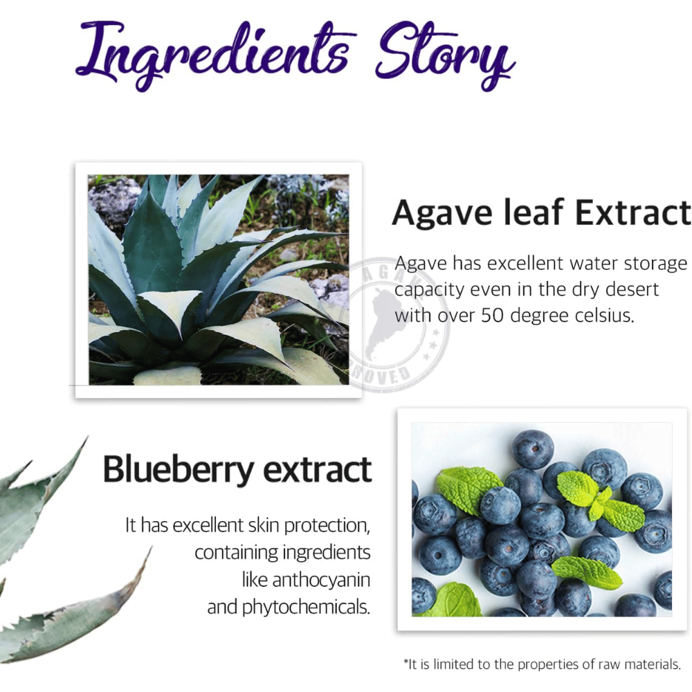 Imagen informativa sobre ingredientes como extracto de hoja de agave y extracto de arándano. El enfoque está en la hidratación, la protección de la piel y las propiedades nutritivas de los ingredientes de origen vegetal.