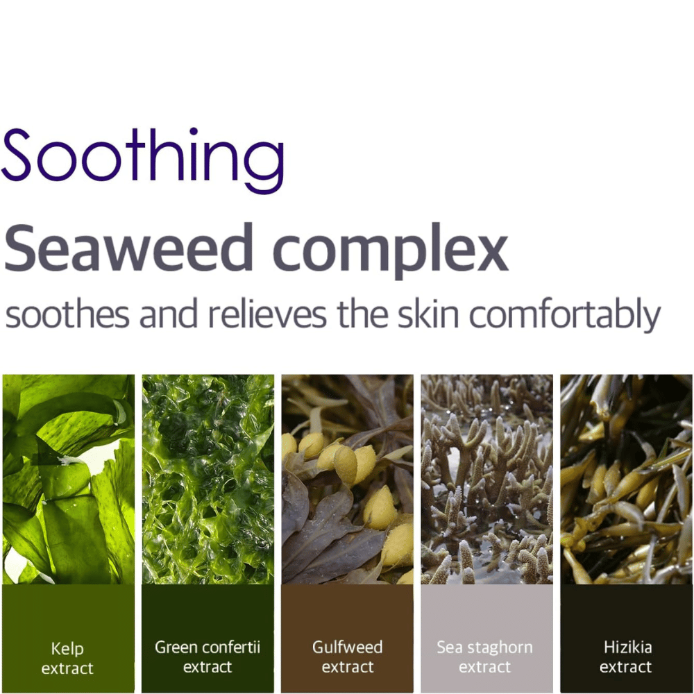 Imagen informativa sobre Seaweed Complex con varias algas y extractos marinos que ayudan a calmar, refrescar y brindar confort a la piel alrededor de los ojos.