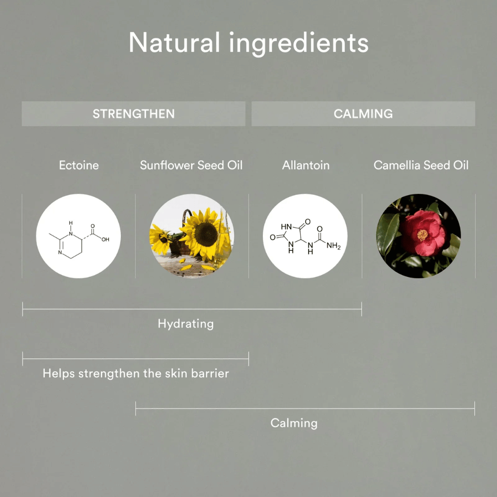 La imagen muestra ingredientes naturales que fortalecen y calman la piel: Ectoin y aceite de semilla de girasol ayudan a hidratar y fortalecer la barrera cutánea, mientras que la alantoína y el aceite de semilla de camelia calman y protegen la piel sensible.