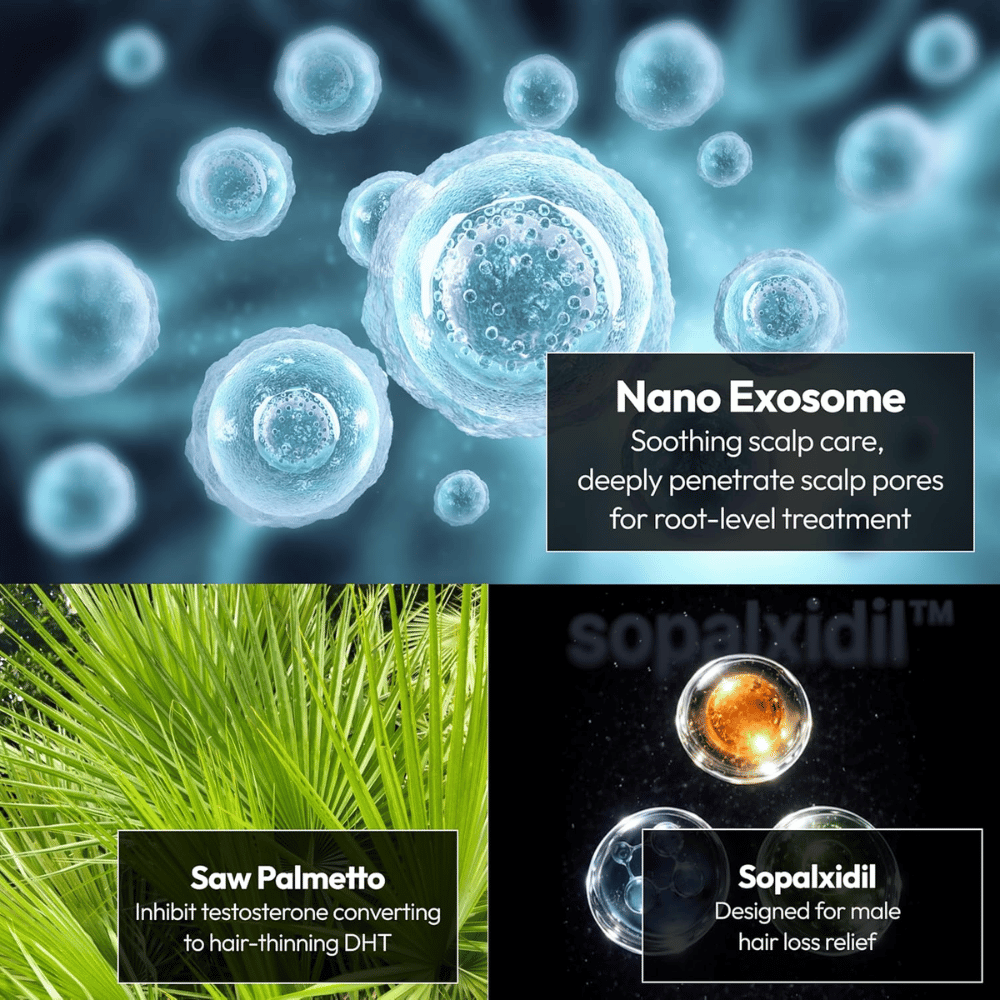 Ilustración de los ingredientes clave del producto, incluidos nanoexosomas, saw palmetto y Sopalxidil™. Se destacan los ingredientes para apoyar el cuidado del cuero cabelludo, reducir la caída del cabello relacionada con la DHT y fortalecer las condiciones del cabello.
