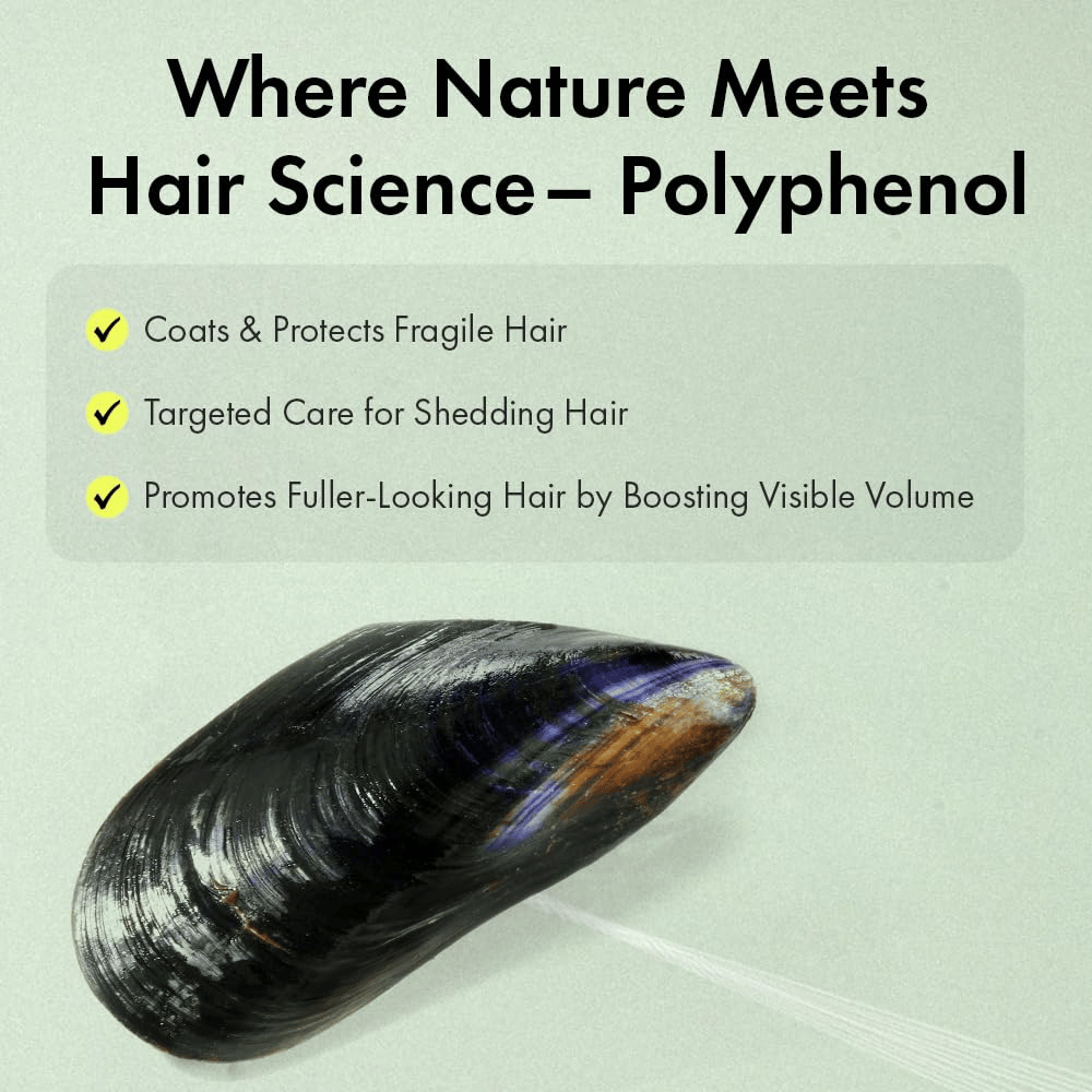 Ilustración de tecnología de polifenoles de mejillón que ayuda a proteger el cabello frágil, aportar más volumen y cuidar el cabello que se percibe fino o sin vida.