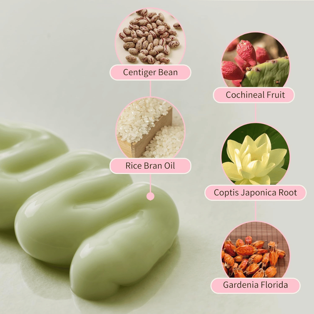 Beauty of Joseon Jello Skin Massage Cream con niacinamida, aceite de salvado de arroz, gardenia, coptis japonica y extractos vegetales para una piel hidratada.