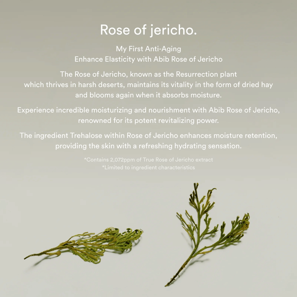 Imagen informativa sobre el extracto de Rosa de Jericó que describe las propiedades hidratantes y revitalizantes de la planta para la piel.