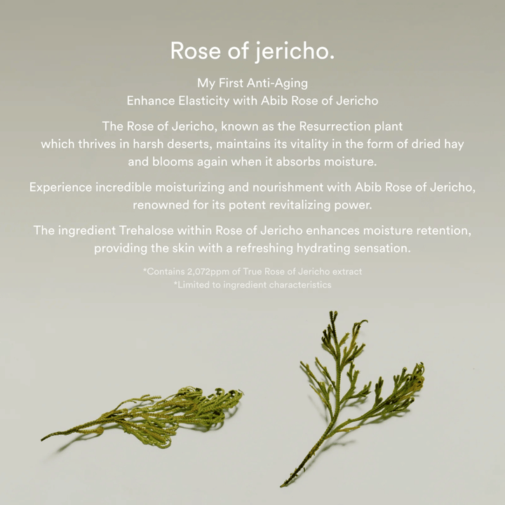 Imagen informativa sobre el extracto de Rosa de Jericó que describe las propiedades hidratantes y revitalizantes de la planta para la piel.