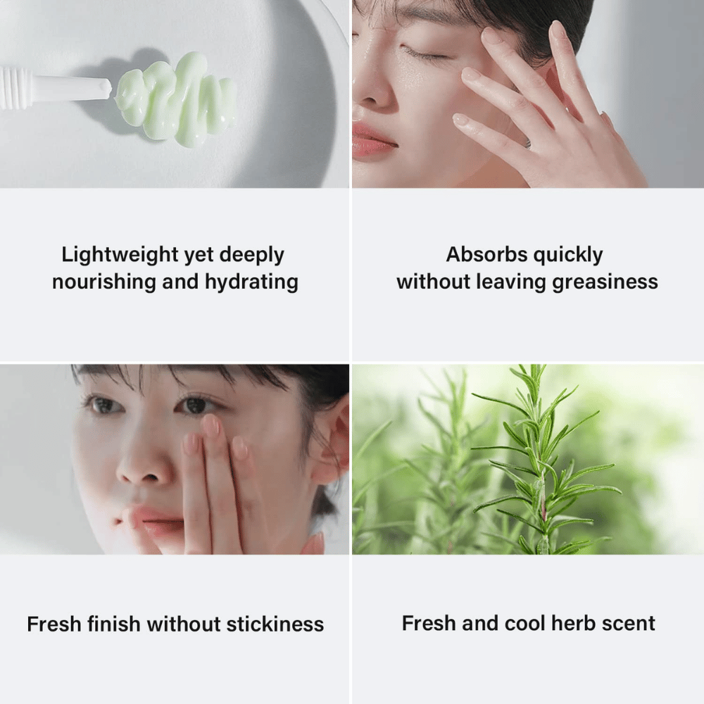 Cuatro imágenes que muestran los beneficios de un producto para el cuidado de la piel. Arriba a la izquierda se ve una crema verde en un cepillo, con el texto "Ligera pero profundamente nutritiva e hidratante." Arriba a la derecha, una mujer que aplica el producto, con el texto "Se absorbe rápidamente sin dejar grasa." Abajo a la izquierda, una mujer masajeando el producto, con el texto "Acabado fresco sin pegajosidad." Abajo a la derecha se ve una imagen de romero con el texto "Aroma fresco y herbal.