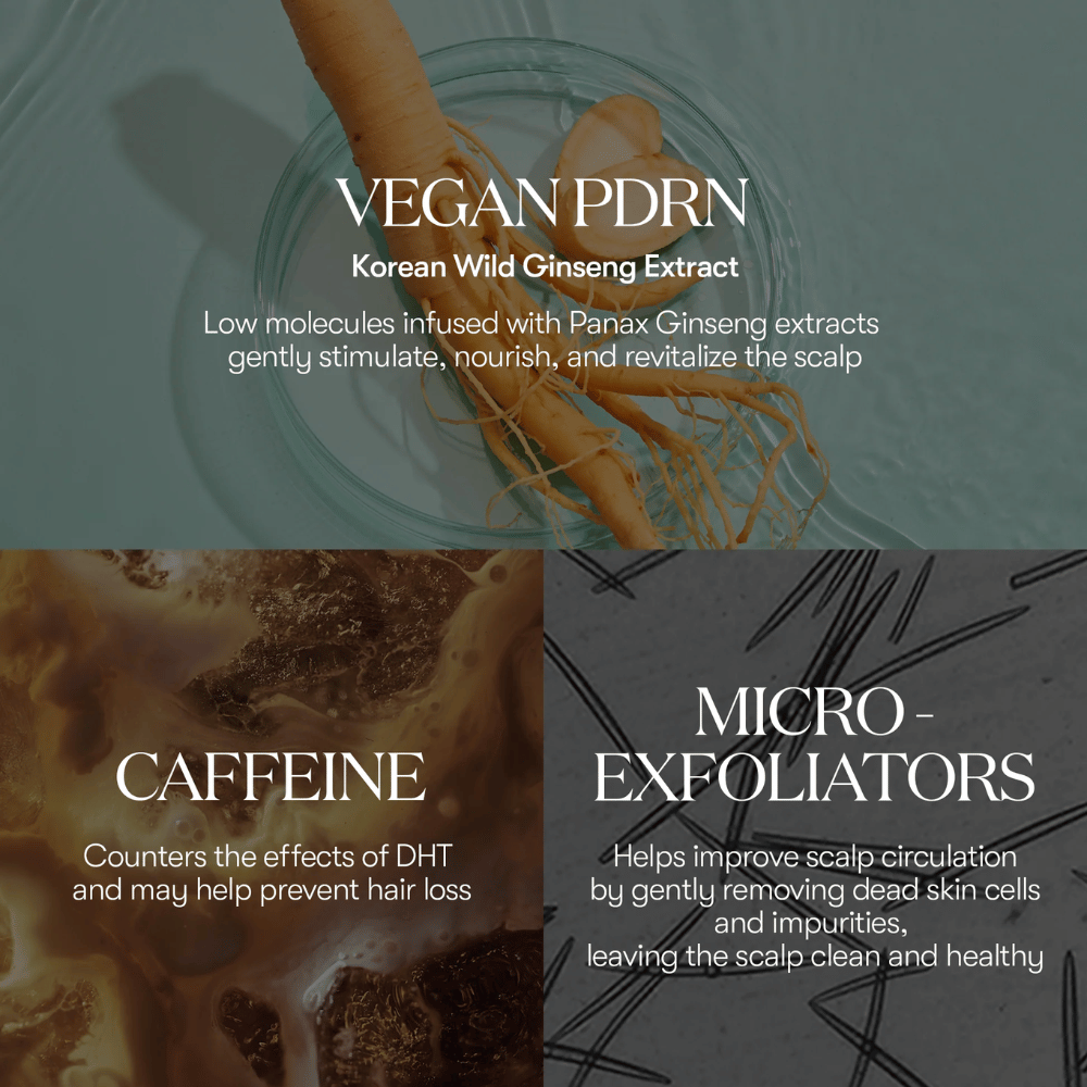 Ilustración de ingredientes activos en PDRN Reedle Shot Hair Ampoule 100dL con PDRN vegano de ginseng salvaje coreano, cafeína y microexfoliantes que cuidan y revitalizan el cuero cabelludo.