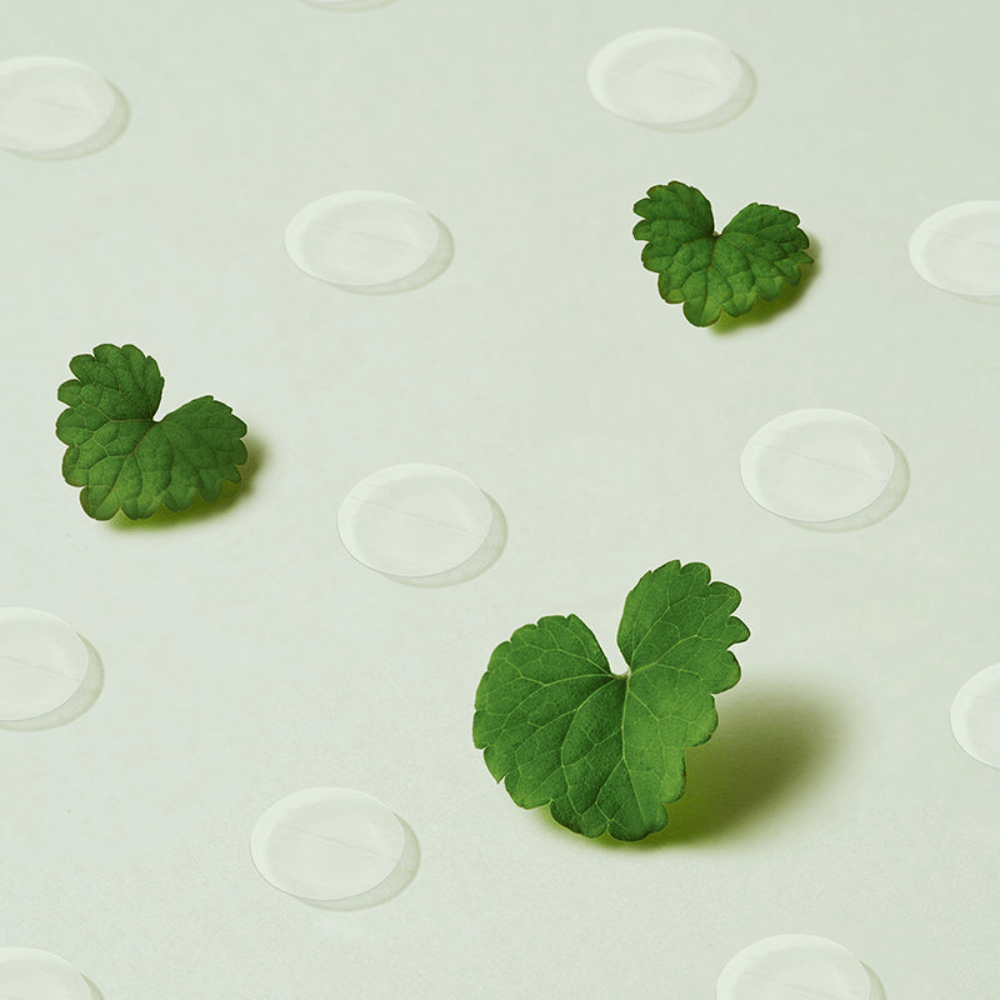 Parches transparentes para puntos junto con hojas de centella que ilustran Purito Wonder Releaf Centella Spot Patch y su efecto calmante en la piel inflamada y sensible.